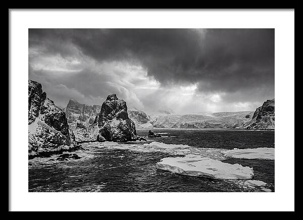 Arctic Majesty In Monochrome