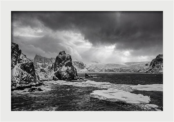 Arctic Majesty In Monochrome