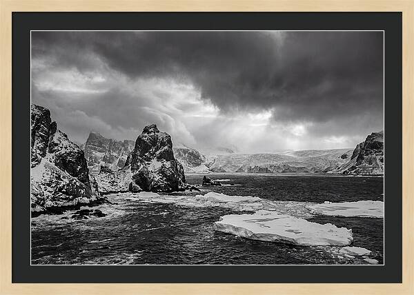 Arctic Majesty In Monochrome
