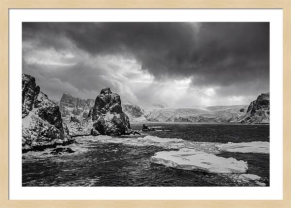 Arctic Majesty In Monochrome