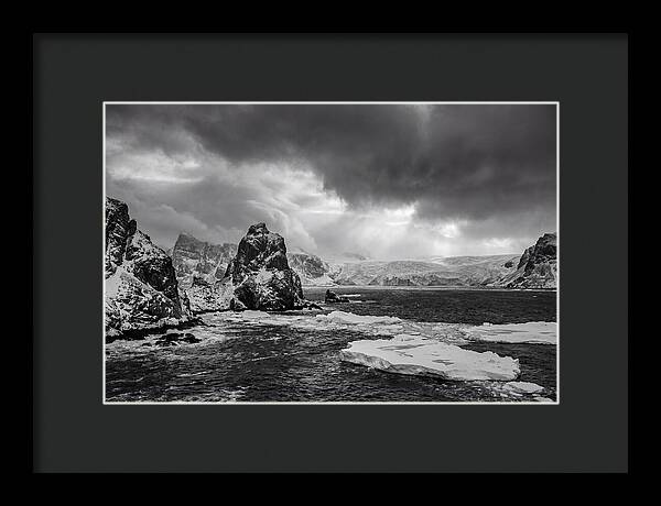 Arctic Majesty In Monochrome
