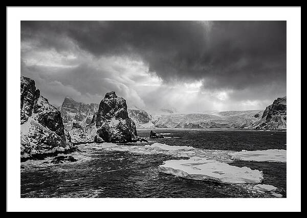 Arctic Majesty In Monochrome