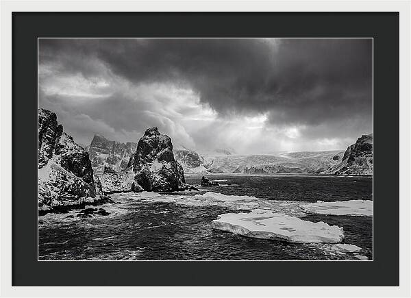 Arctic Majesty In Monochrome