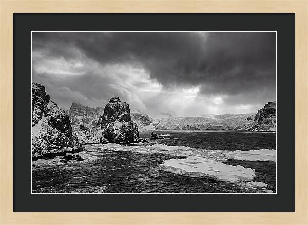 Arctic Majesty In Monochrome