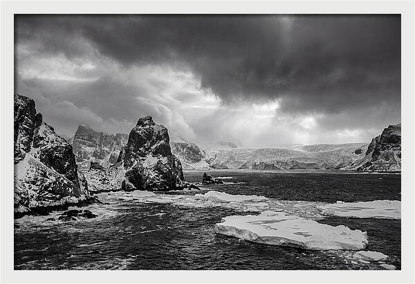 Arctic Majesty In Monochrome