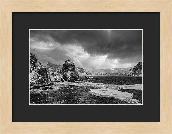 Arctic Majesty In Monochrome