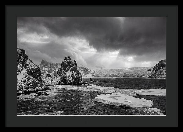 Arctic Majesty In Monochrome