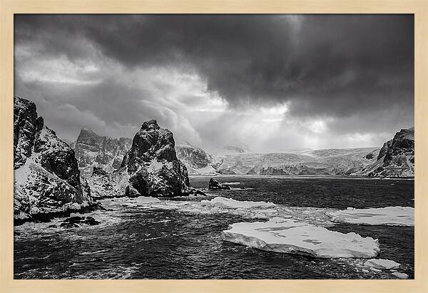 Arctic Majesty In Monochrome