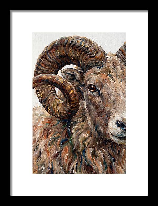 Argali In Rich Detail