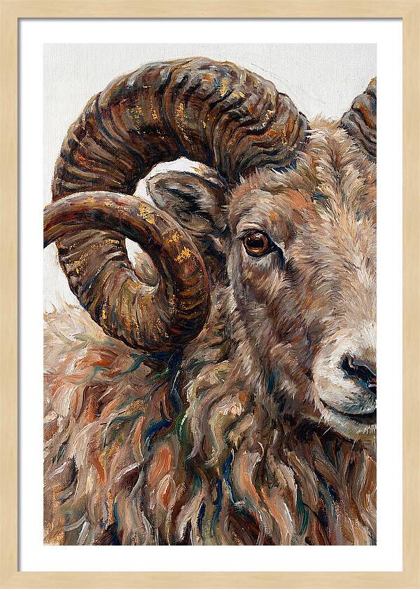 Argali In Rich Detail