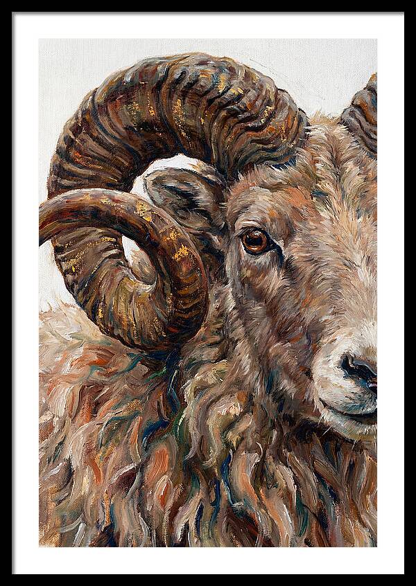 Argali In Rich Detail