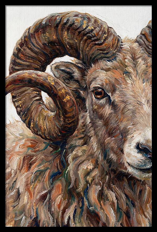 Argali In Rich Detail