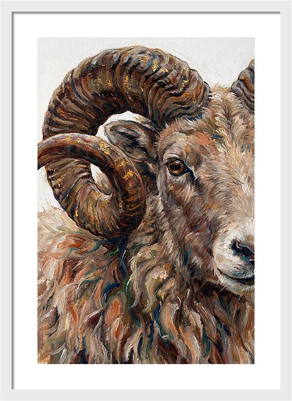 Argali In Rich Detail