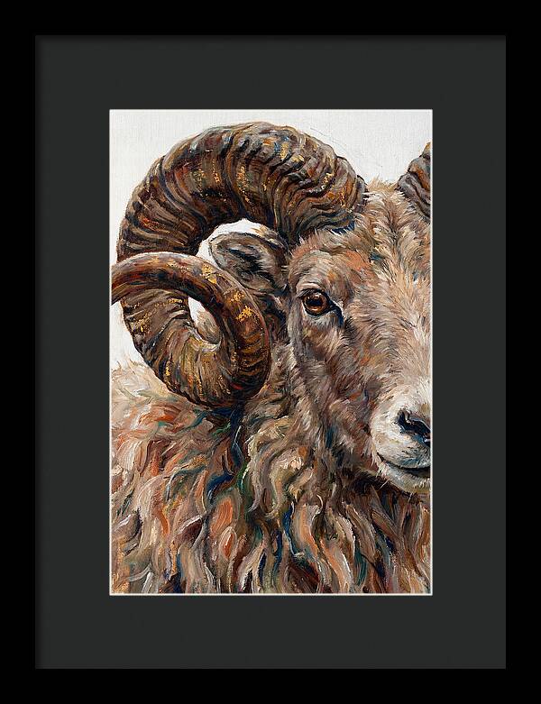 Argali In Rich Detail