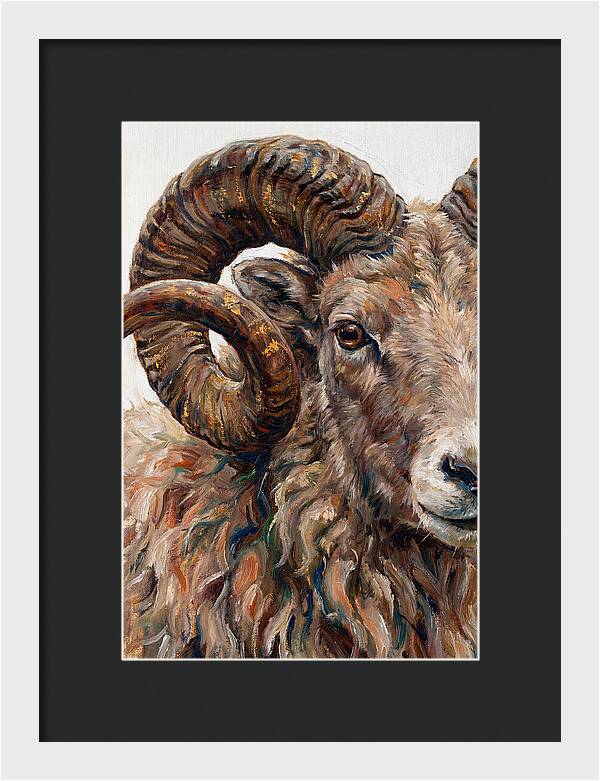 Argali In Rich Detail