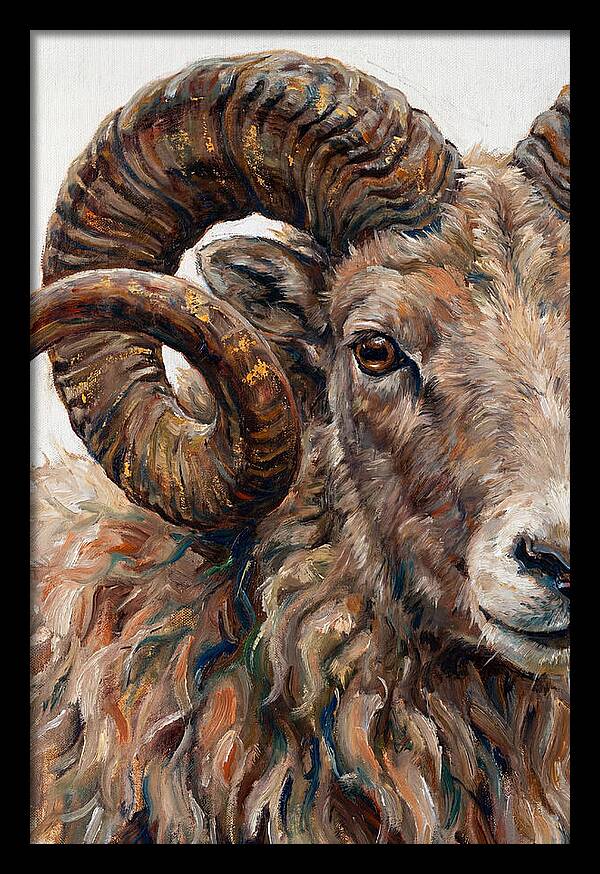 Argali In Rich Detail