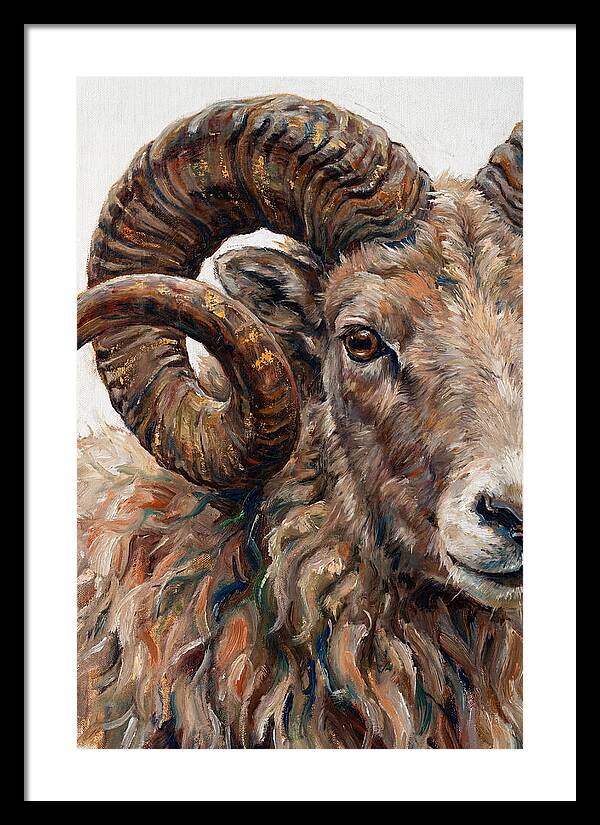 Argali In Rich Detail