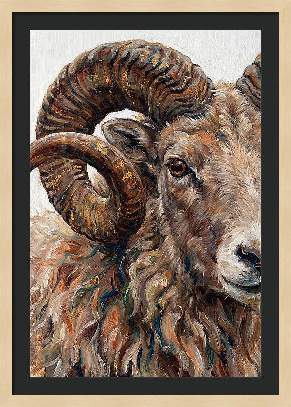Argali In Rich Detail