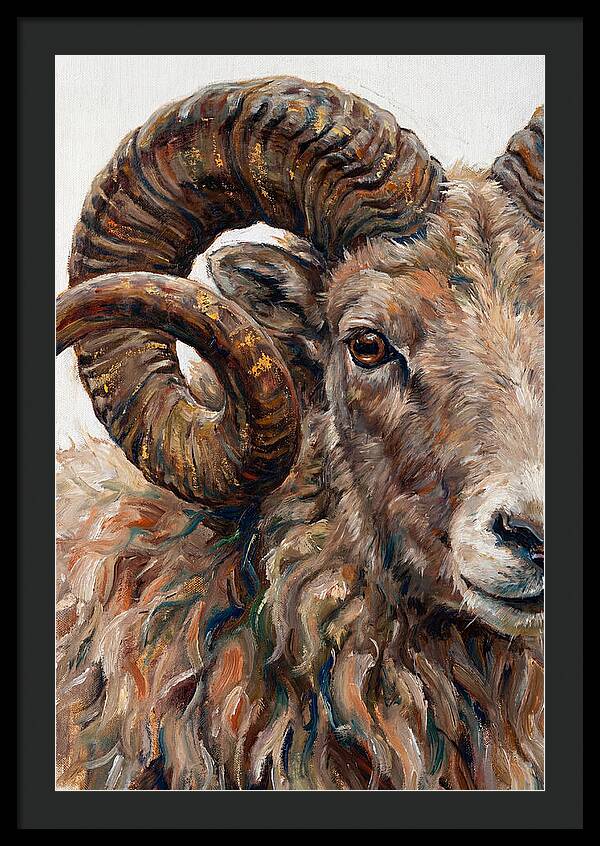 Argali In Rich Detail
