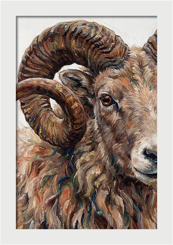 Argali In Rich Detail