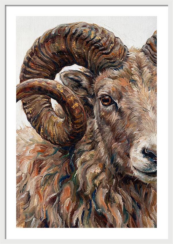 Argali In Rich Detail