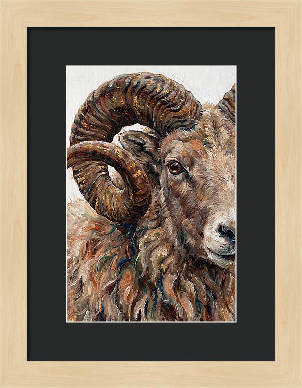 Argali In Rich Detail