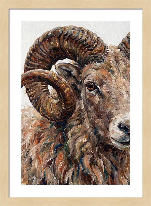 Argali In Rich Detail