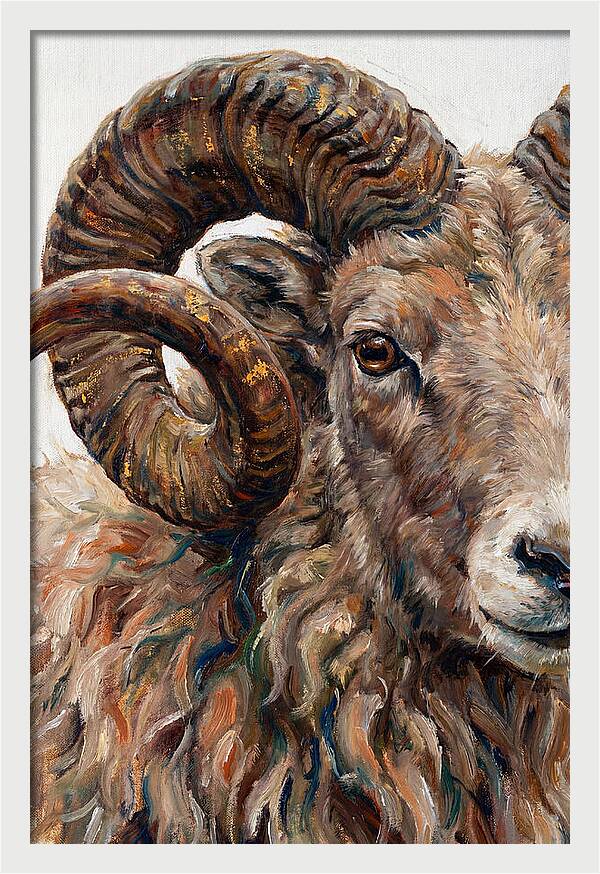 Argali In Rich Detail