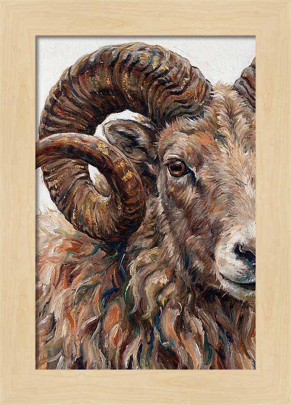 Argali In Rich Detail