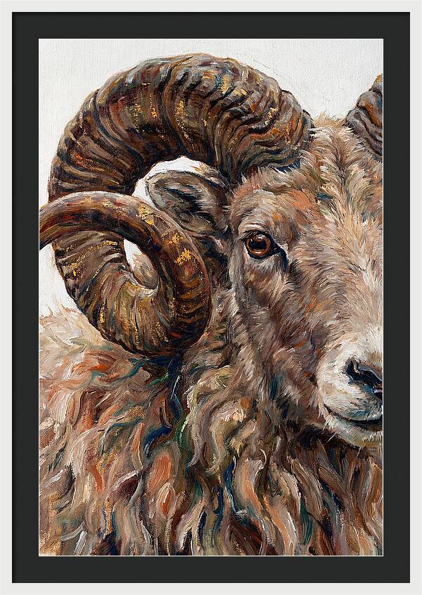 Argali In Rich Detail