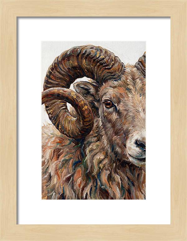 Argali In Rich Detail