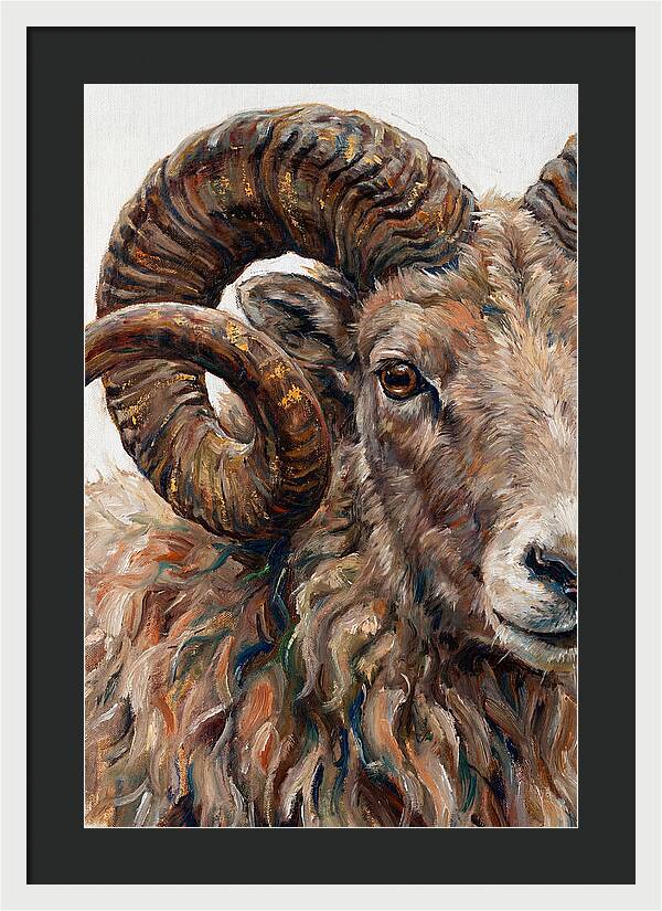 Argali In Rich Detail