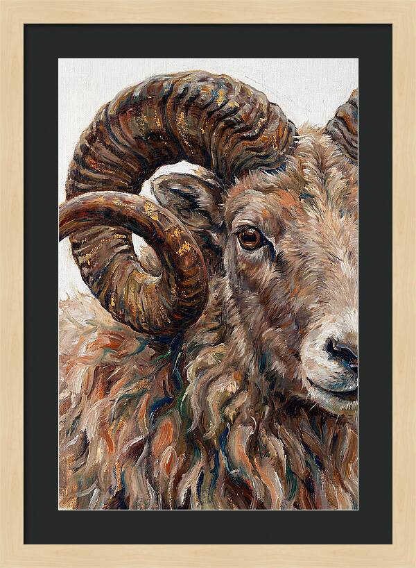 Argali In Rich Detail
