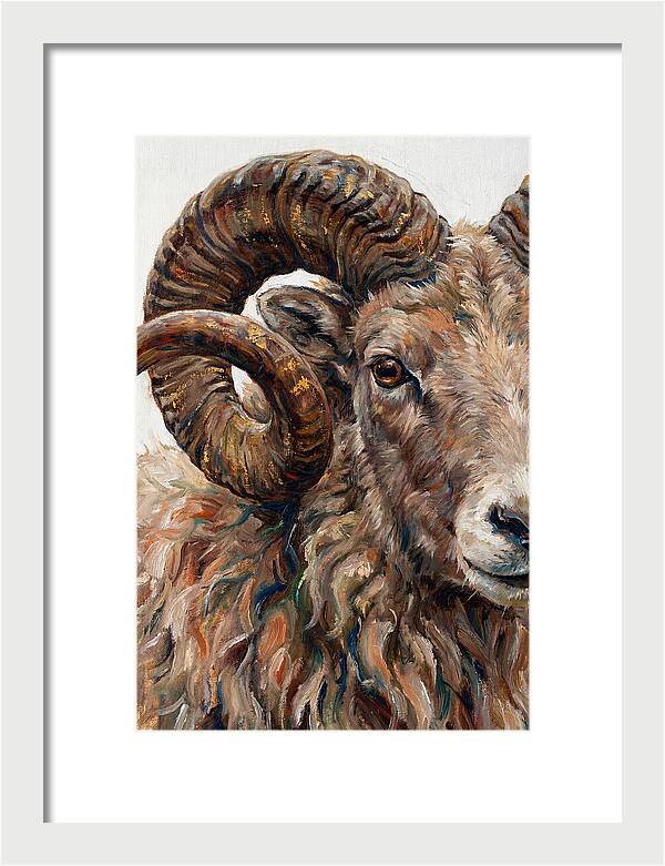 Argali In Rich Detail