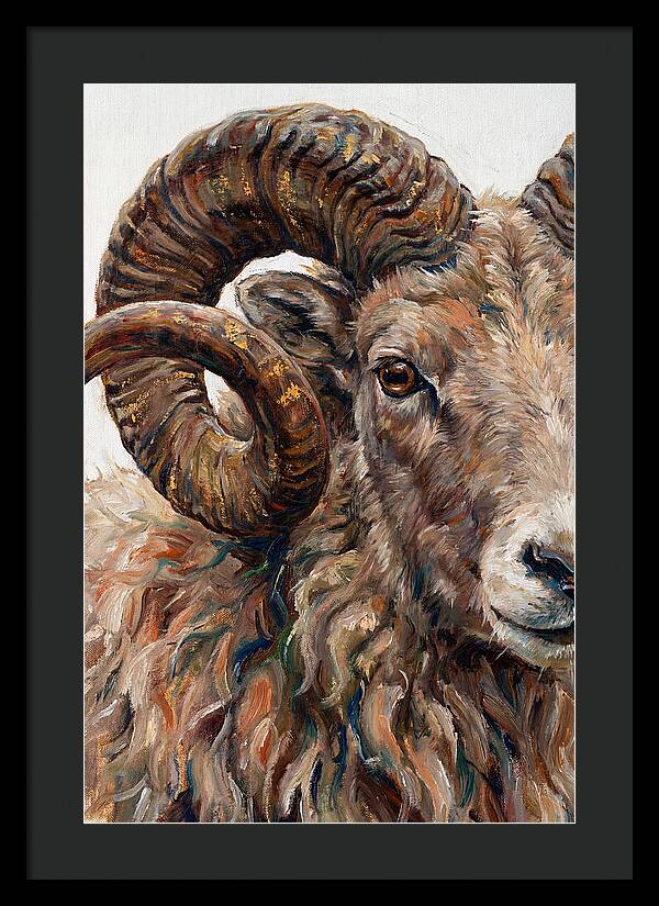 Argali In Rich Detail
