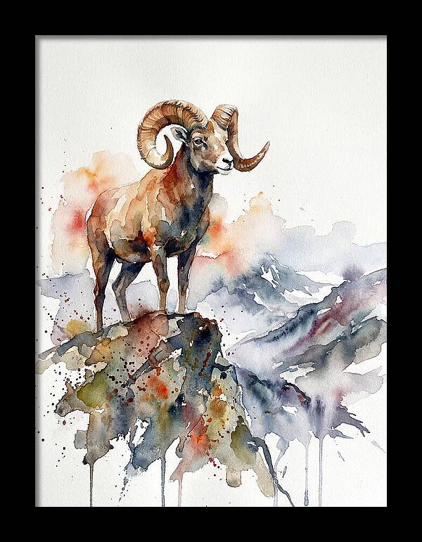 Argali On The Mountain