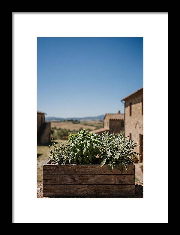 Aromatic Herb Window Box
