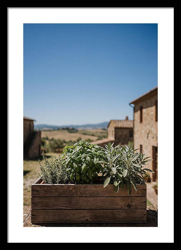 Aromatic Herb Window Box