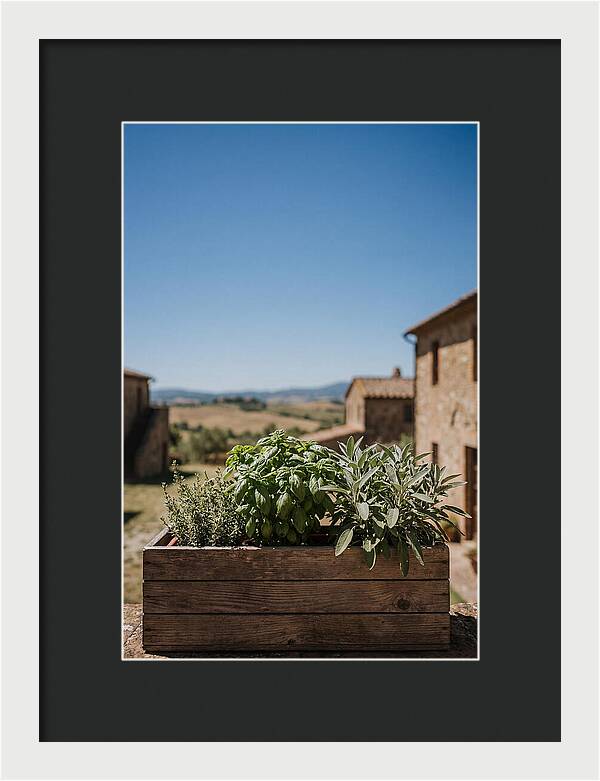 Aromatic Herb Window Box