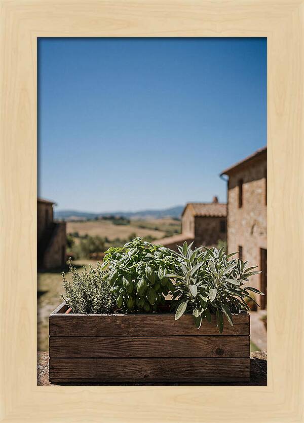 Aromatic Herb Window Box