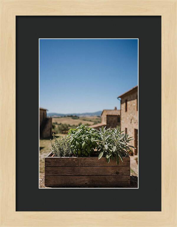 Aromatic Herb Window Box