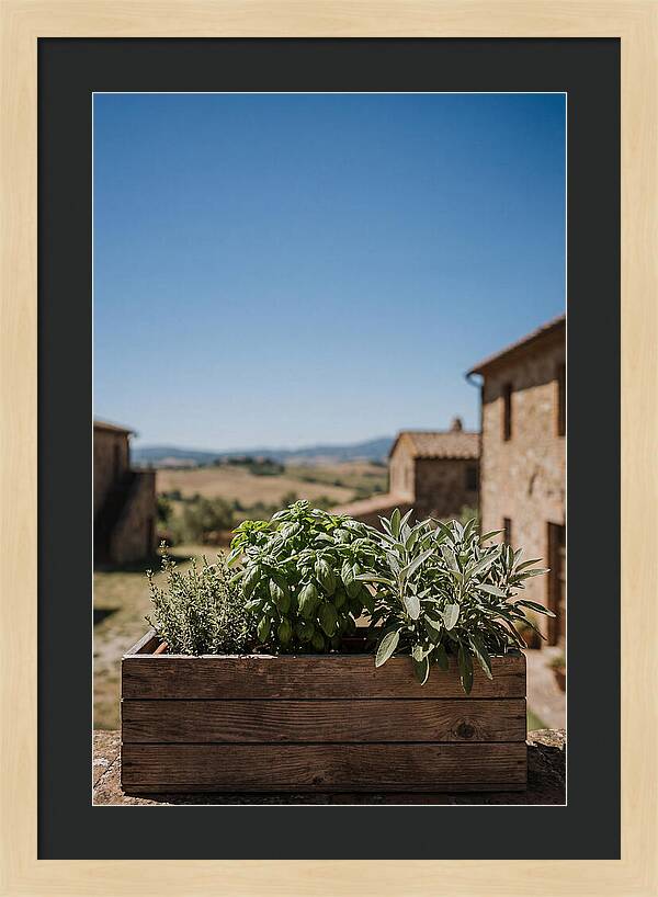 Aromatic Herb Window Box