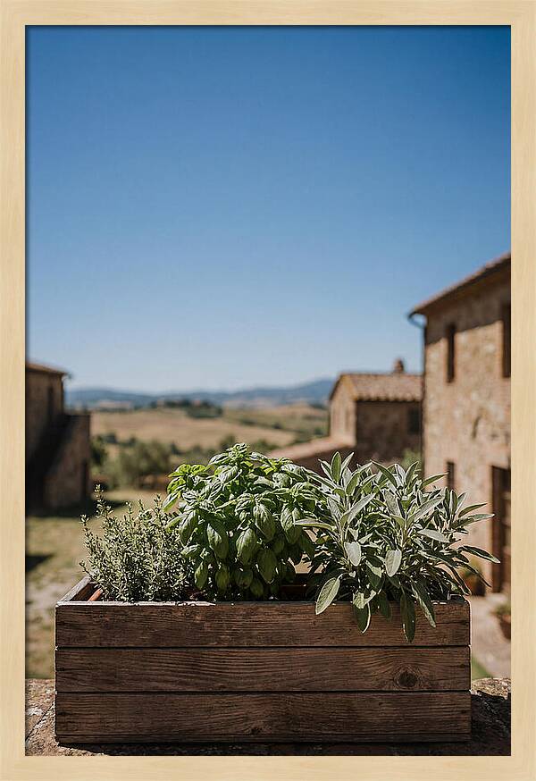 Aromatic Herb Window Box