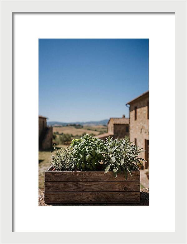 Aromatic Herb Window Box
