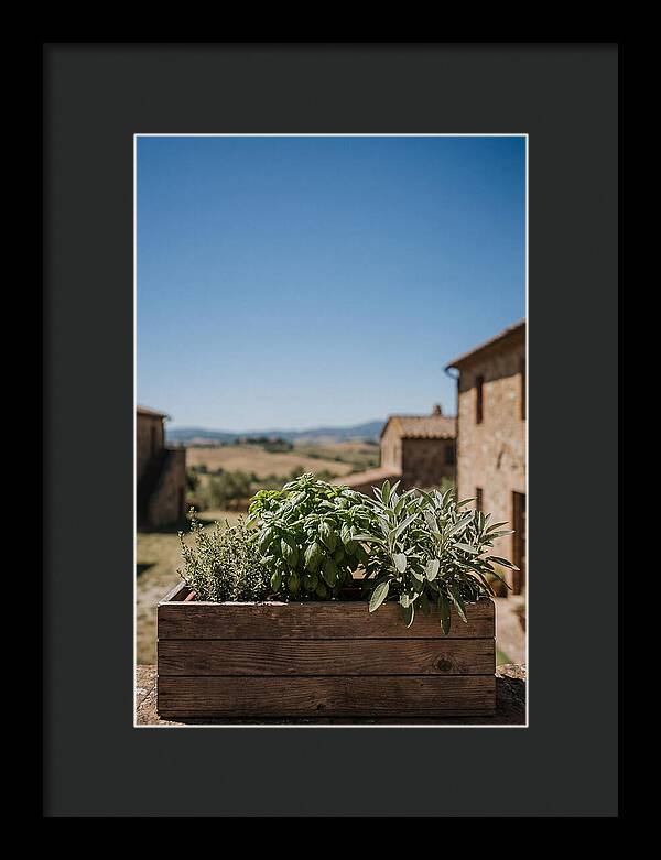 Aromatic Herb Window Box