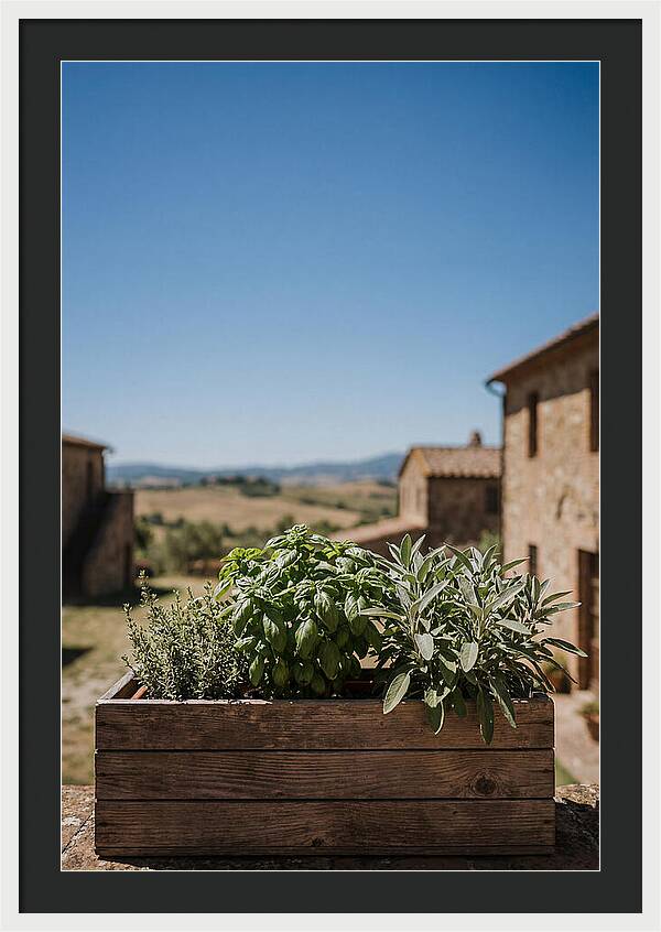 Aromatic Herb Window Box