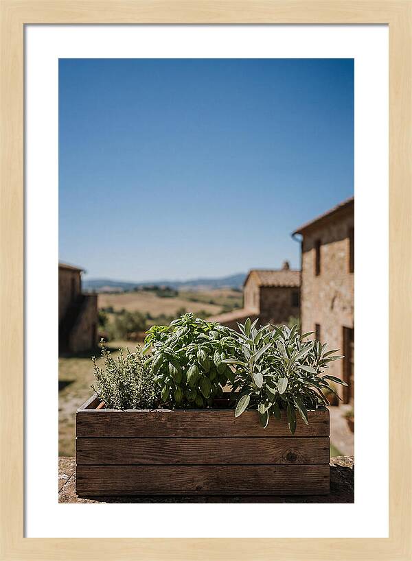 Aromatic Herb Window Box