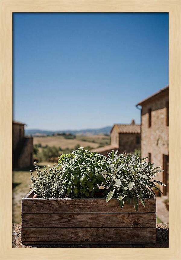 Aromatic Herb Window Box
