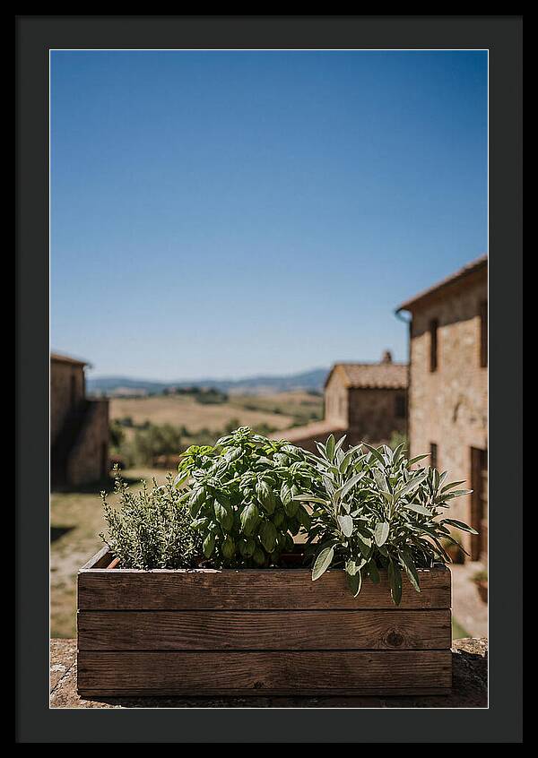 Aromatic Herb Window Box