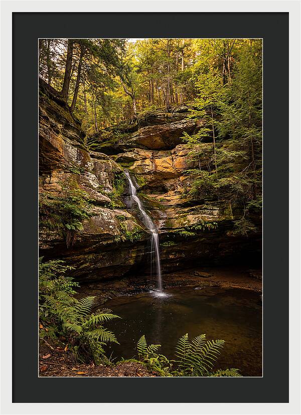 Ash Cave Waterfall Serenity